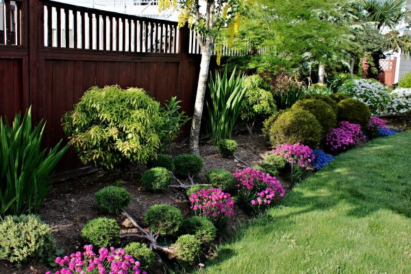 A flowerbed sandwiched between a green grass area of lawn and a brown colored wooden fence consisting of a blend of bushes and flowers in bloom as well as trees in a formal setting.